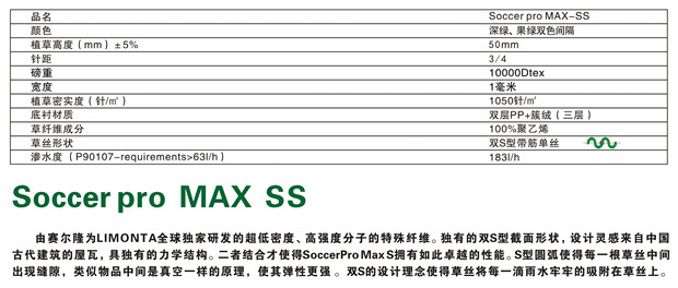 MAX-SS_副本_副本1.jpg